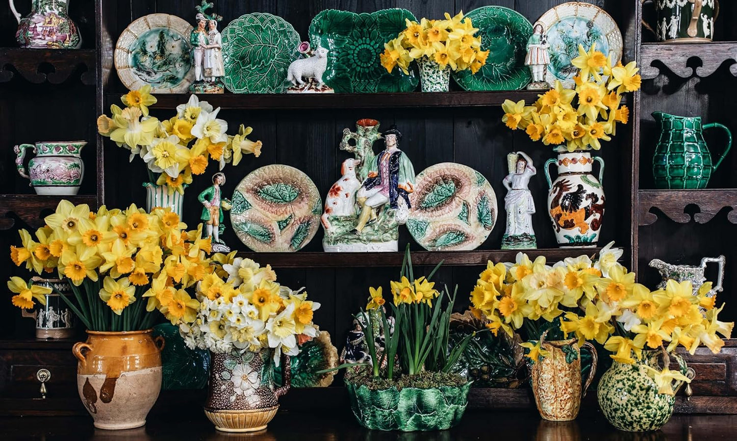 The Nature of Decorating: Interiors Inspired by the Natural World