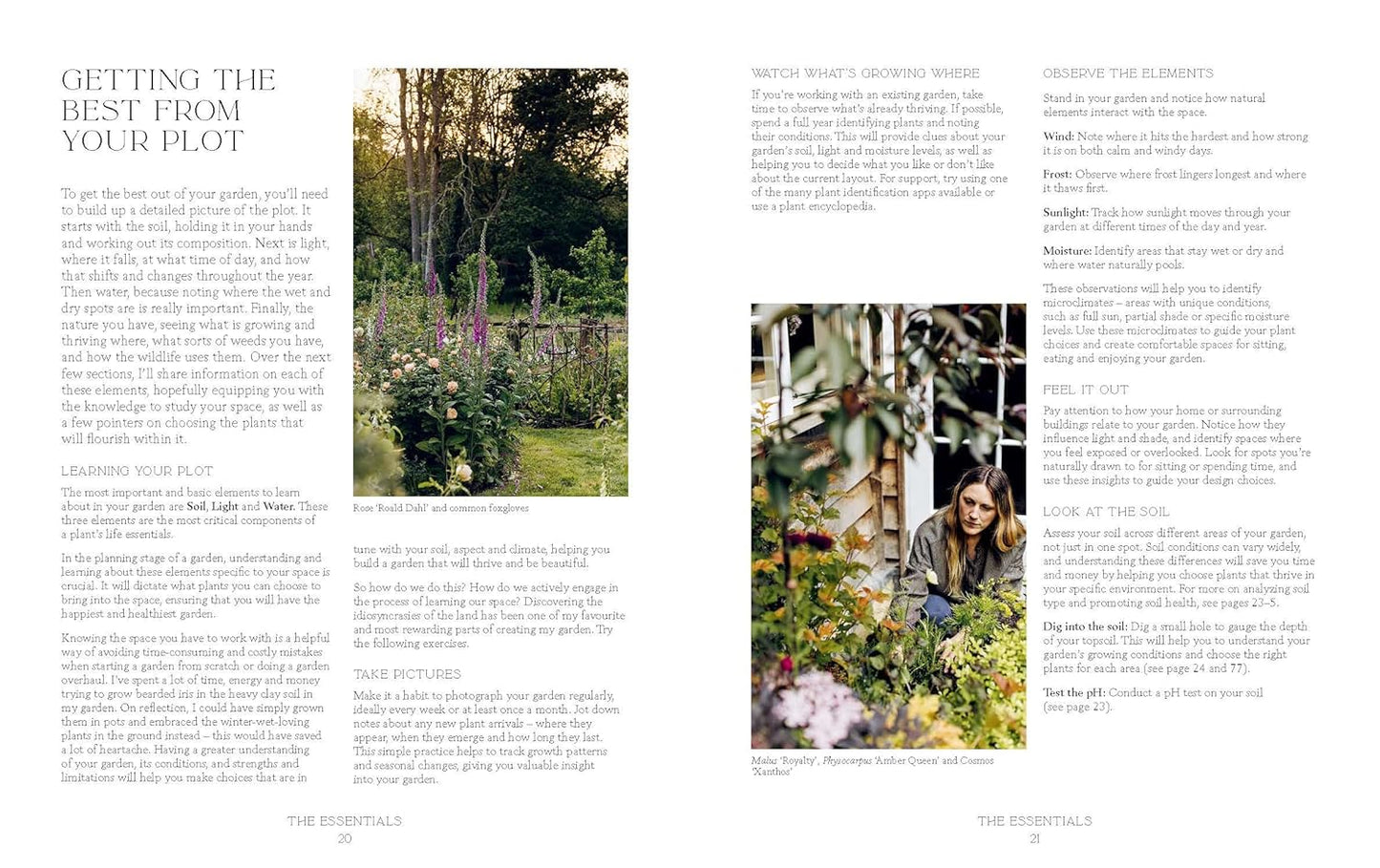 How Does Your Garden Grow?
