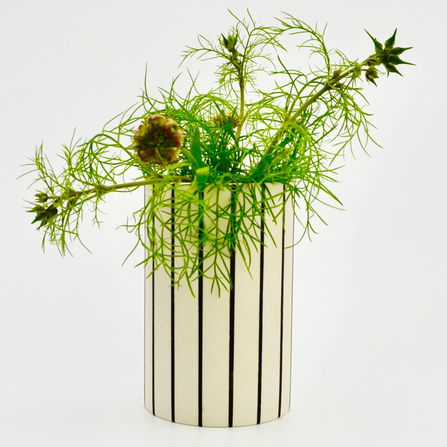 Wide Striped Vase with Black Stripes