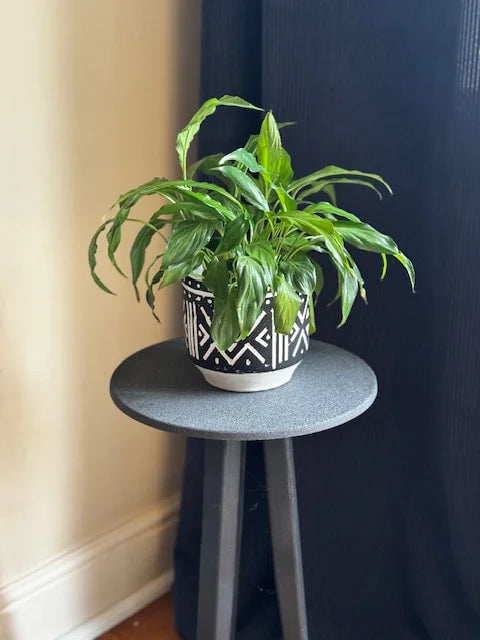 Jesmonite Plant Stand - Made to Order