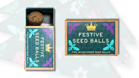 Festive Seed Balls Mini Gift Box