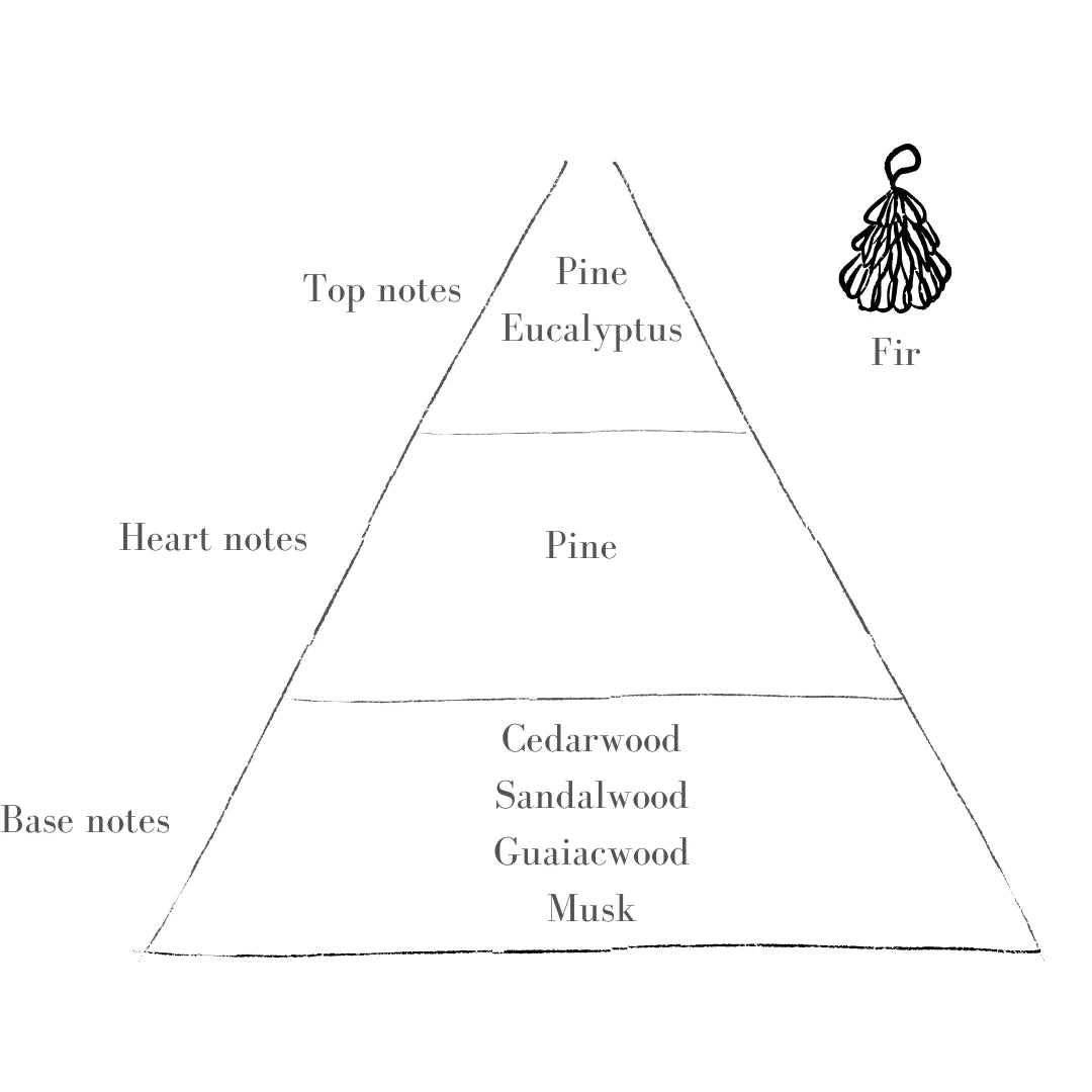 Holly Pott with Fir Candle - Winter Edition