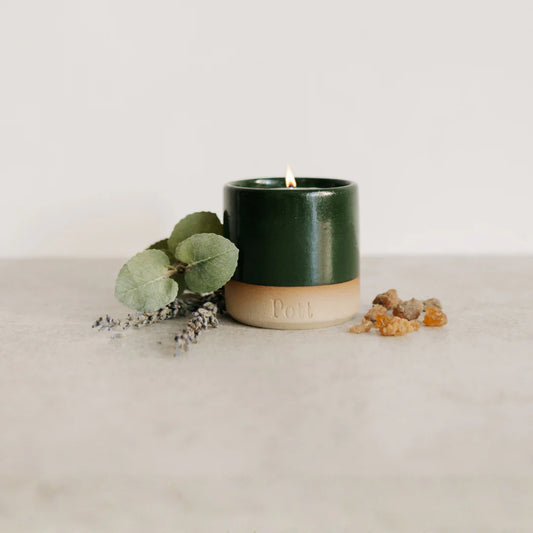 Petite Holly Pott with Fir Candle - Winter Edition
