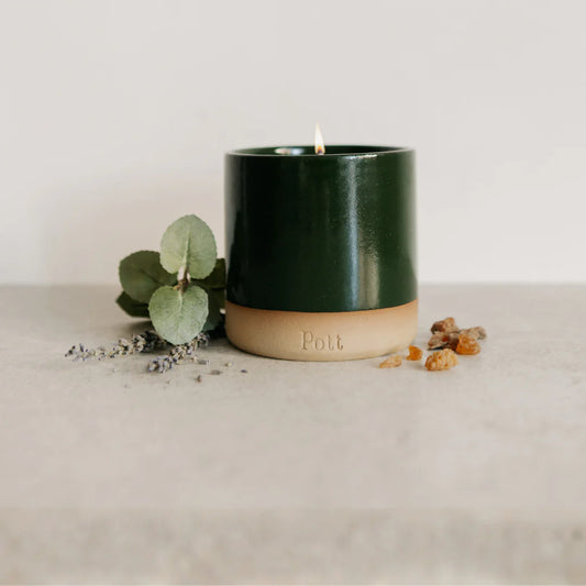 Holly Pott with Fir Candle - Winter Edition