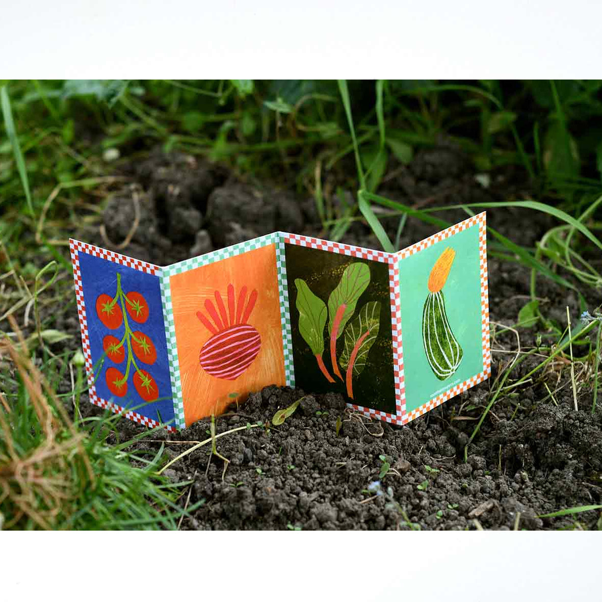 Veg Patch Concertina Card