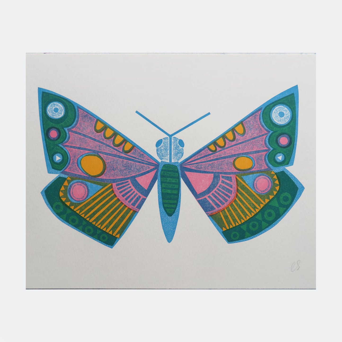 Rainbow Moth Print