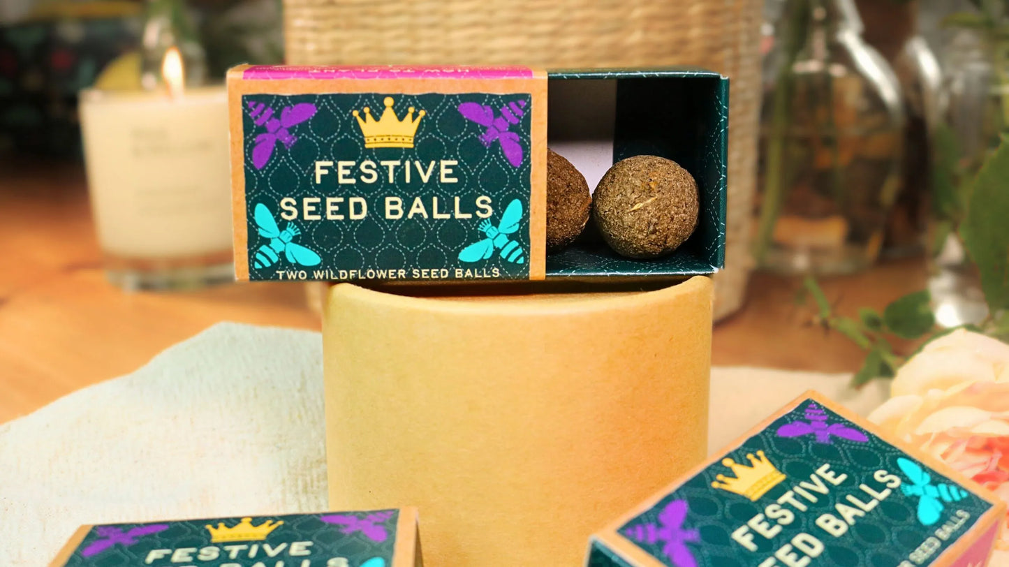 Festive Seed Balls Mini Gift Box