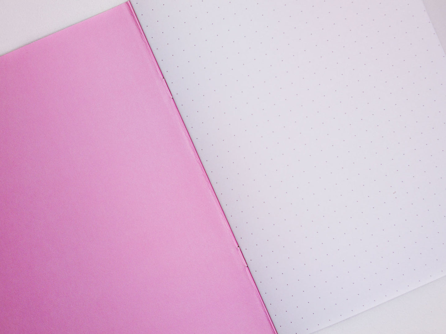 Pink Mustard Animal 44 Page Notebook