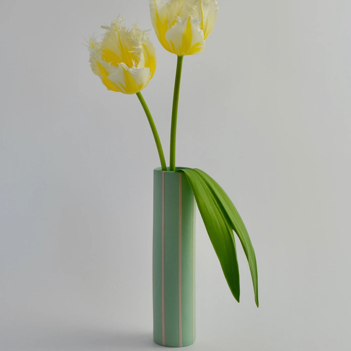 Coloured Striped Vase in Green with Pink