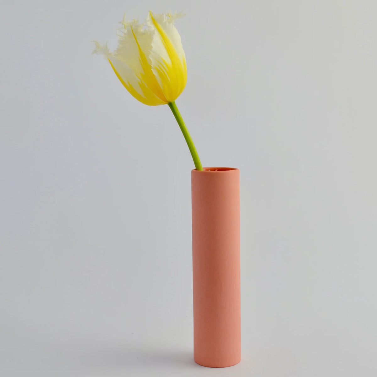 Small Stem Vase in Siena Pink