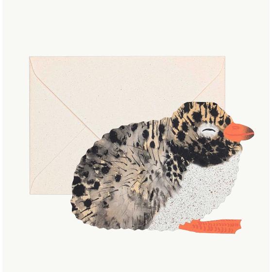 Artic Tern Chick Greeting Card