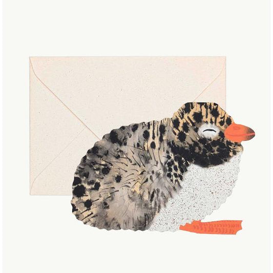 Artic Tern Chick Greeting Card