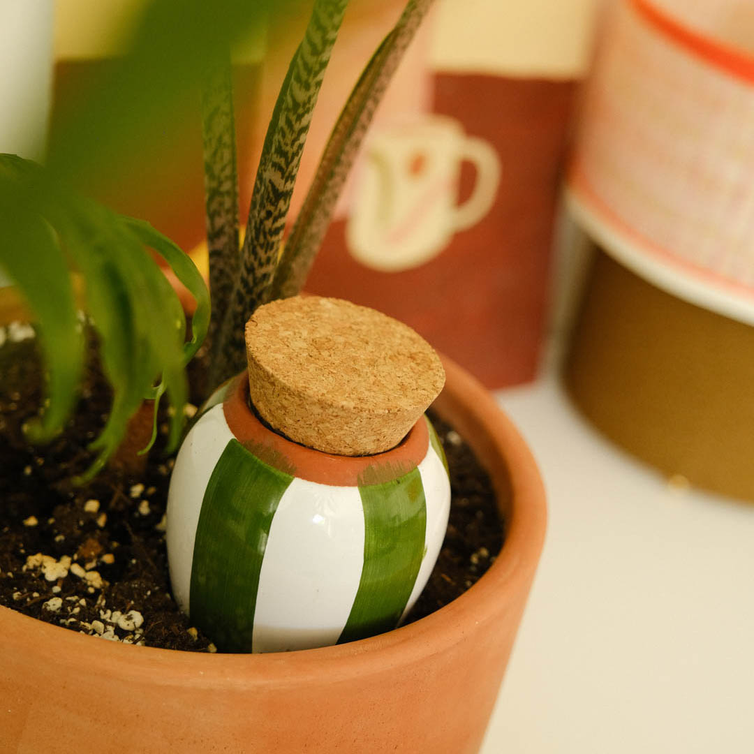 Olla - Green and Ivory Stripes - Self watering for plants