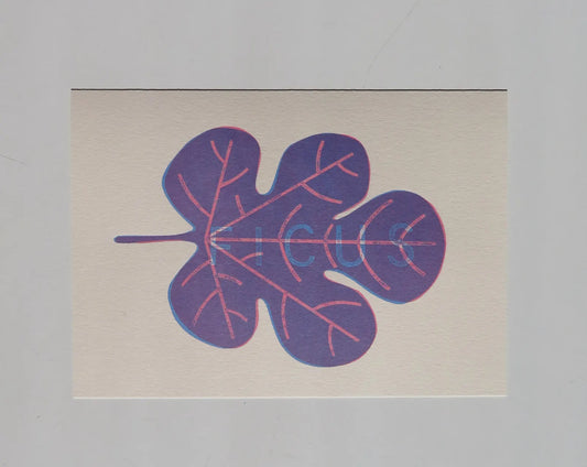 Ficus. Fig leaf handmade print, Blue and Pink.