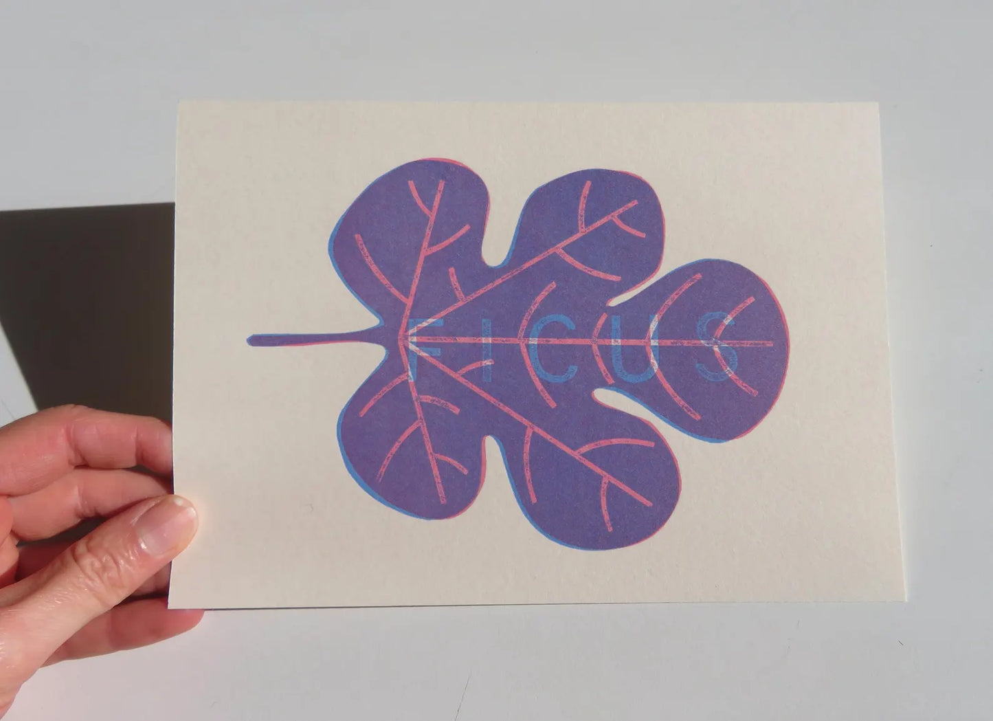 Ficus. Fig leaf handmade print, Blue and Pink.