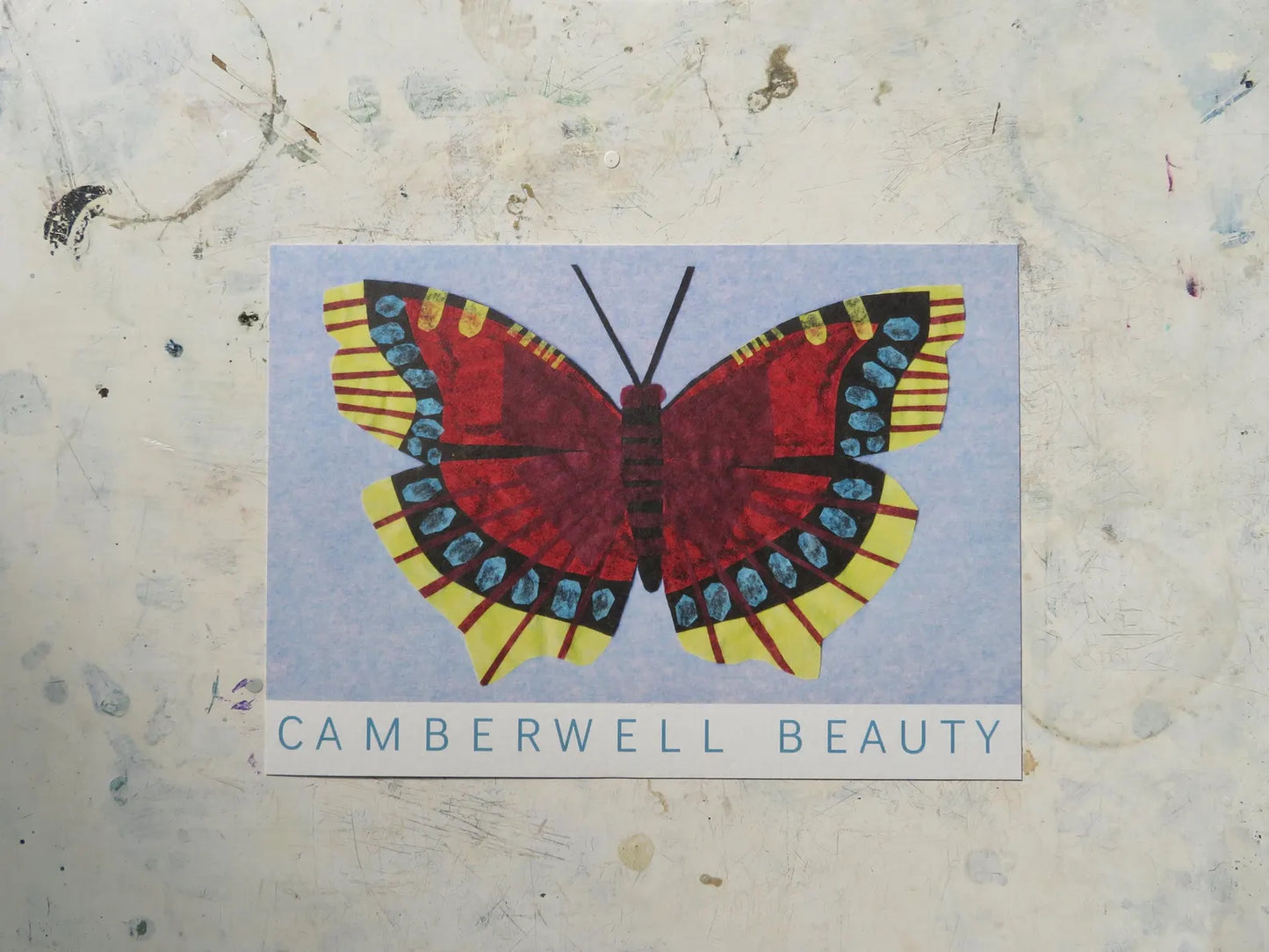 Camberwell Beauty Butterfly A5 Art print