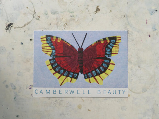 Camberwell Beauty Butterfly A5 Art print