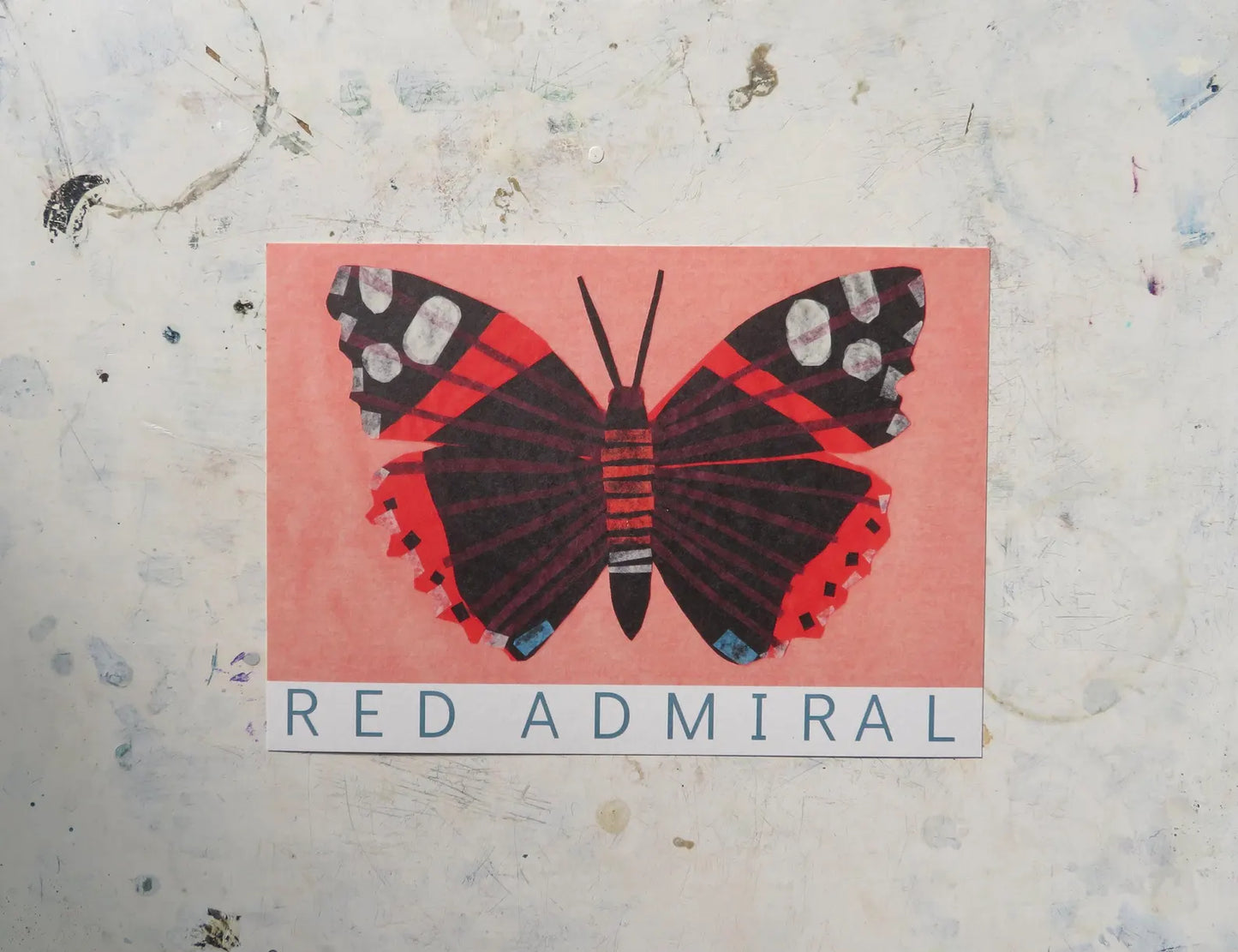 Red Admiral Butterfly A5 Art print