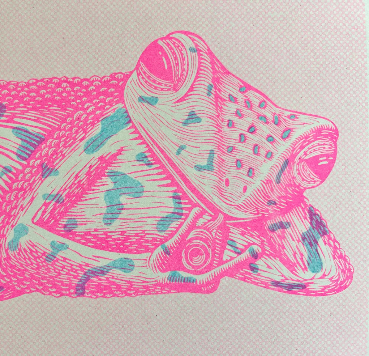 Ribbit for Her Pleasure Riso Print