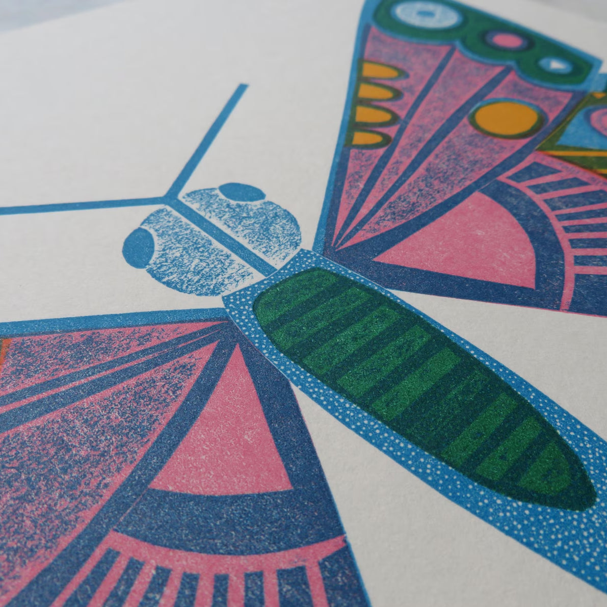 Rainbow Moth Print