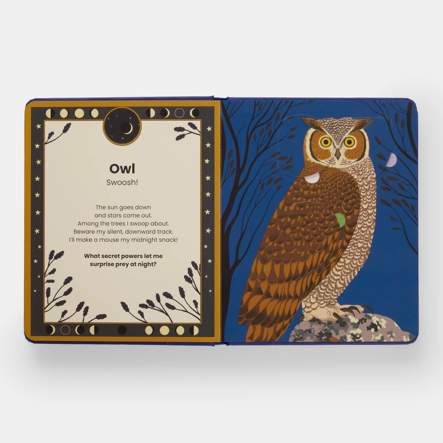 The Secret Powers of Animals