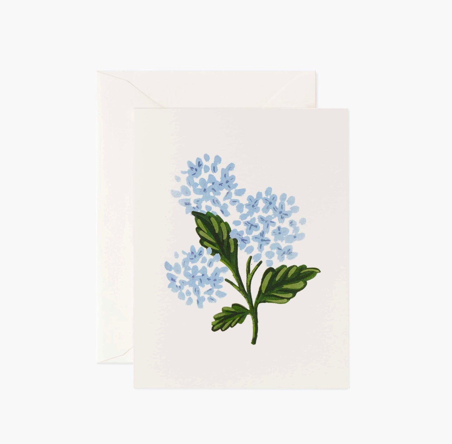 Hydrangea Bloom Card