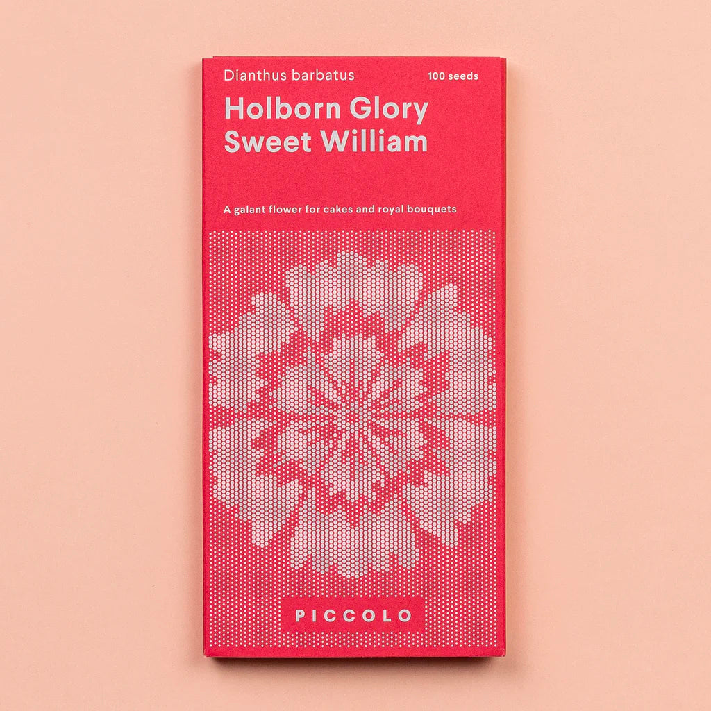 Sweet William Seeds